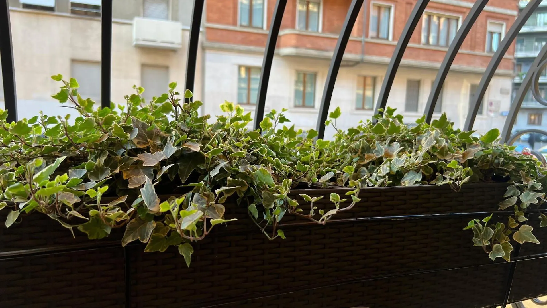 Mercadante Suite Central City Milano